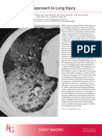 Marquis Et Al 2023 CT Approach To Lung Injury