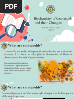 Biochemistry of Carotenoids and Their Changes