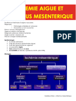 Infarctus Mésentérique