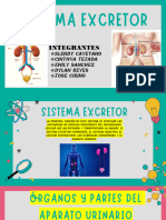 Exposición Grupo#4