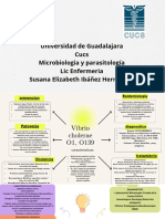 CARACTERISTICAS GENERALES Bacterias