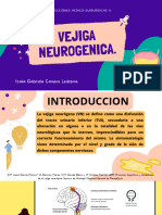 Vejiga Neurogénica