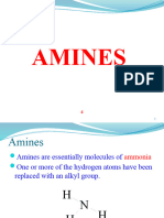 Class 12 - Amines