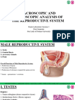 Finals - Macroscopic and Micropscopic Analyisis of The Reproductive System (Finals Lab Session 1)