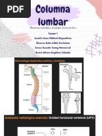 Equipo 1 - Columna Lumbar