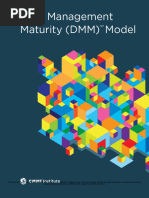 CMMI Institute - Data Management Maturity Model