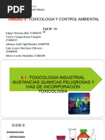 Toxicologia Industrial