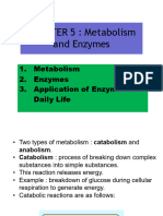 Chapter 5 - Metabolism and Enzymes