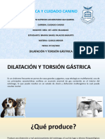 Exposición Dilatación y Torsión Gástrica Brayan Palacios