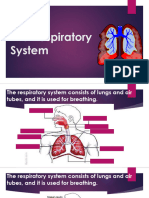 The Respiratory System Notes (1) Changes