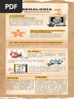 Infografia Final