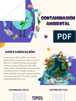 Contaminación Ambiental