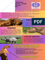 Brown Yellow Photos Animals of Africa Infographic