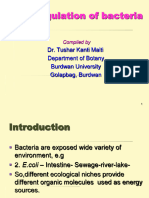 Gene Regulation in Bacteria