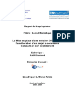 La Mise en Place D'une Solution Offline Pour L'amélioration D'un Projet E-Commerce Caissa - TN Et Son Deploiement