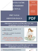 Pré Natal Odontologico