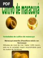 Presentacion Maracuya y Aguacate Unido