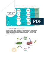 Trabajo Productivo