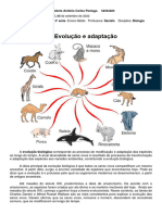 3 Série-BIO-Evolução e Adaptação-Evidências Da Evolução (Fósseis) .