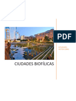 Ciudades Biofilicas, Moñita