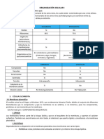 2.1.-Composición de Celular 1