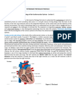 Cardiovascular System Lecture 1 2020 2021