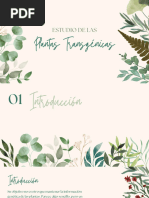 Plantas Transgenicas