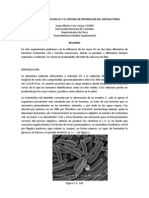 Daño de La Radiacion Uv y El Sistema de Reparacion Del Adn Bacterial