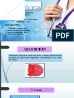 Absorcion Grupo 6