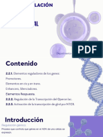 Regulación Transcripcional