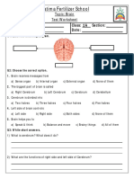 Brain Test Worksheet