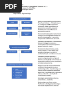 Mapa Mental - Epistemologia