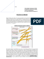 Plexo Lumbar y Sacro