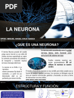 Tema 2. La Neurona