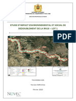 EIES - Dédoublement de La RN 16 - Lot 1