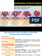 Remaining Slide - CirculatorySystem