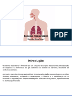 Sistema Respiratório