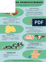 Sistema Endocrino