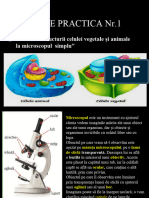 Lucrare Practica Celula Vegetala Si Animala