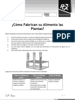 Cómo Fabrican Su Alimento Las Plantas