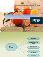 Soutenance de Stage D'initiation en Arboricultures Fruitières