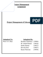 Project Management of Telecom Project