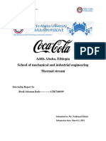 Coca-Cola Internship Report Final Biruk Solomon Bade