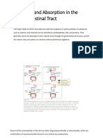 Digestion & Absrorption