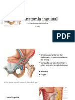 Anatomía Inguinal