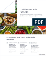 Los Minerales en La Nutricion