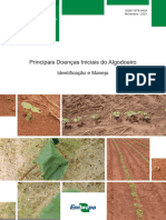 Principais Doenças Iniciais Do Algodoeiro: Identificação e Manejo