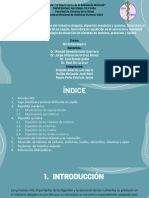 CLASE 36-Fisiología de La Digestión Del Intestino Delgado, Digestión Mecánica y Química.