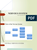 Nervous System