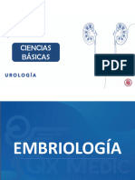 UROLOGÍA